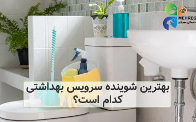 بهترین شوینده سرویس بهداشتی